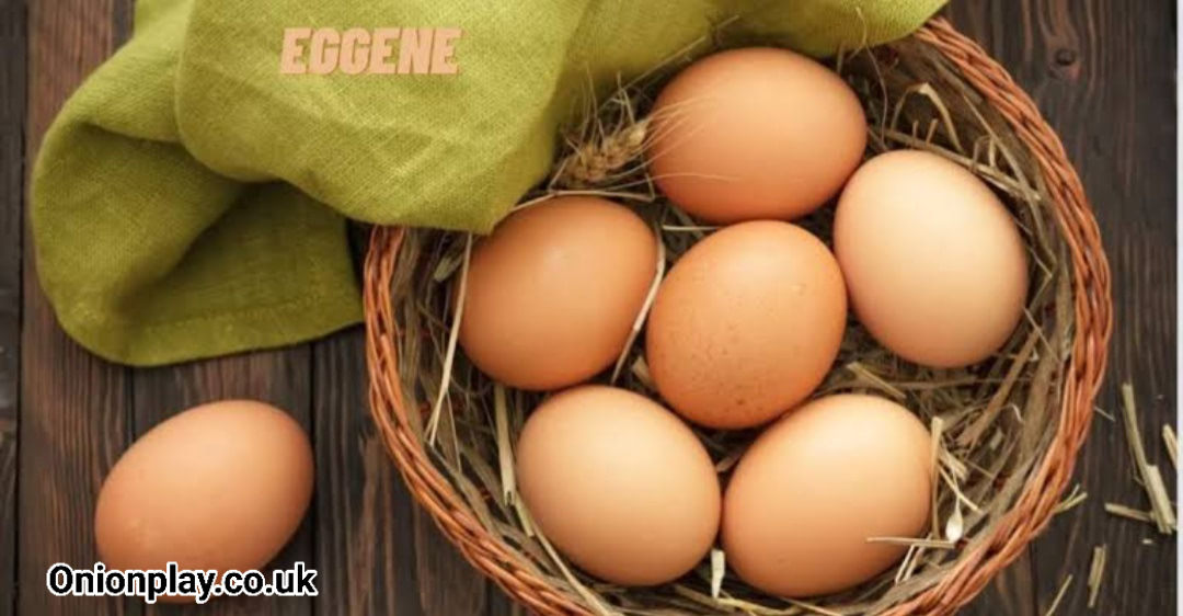 Eggene