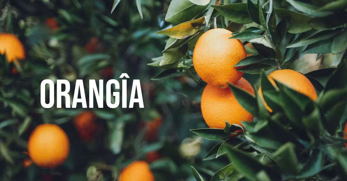 orangîa