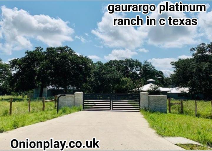 gaurargo platinum ranch in c texas