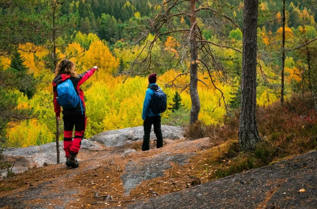 Exploring Possu, Finland A Quaint Escape into Nature and Tradition