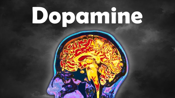 Biohacking the Dopamine System: The Underground Guide to Ultimate Focus and Motivation