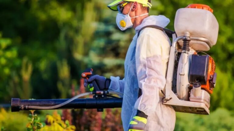 How Seasonal Changes Impact Pest Behavior and What You Can Do About It