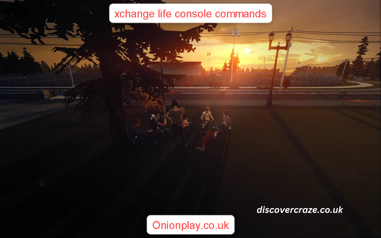 xchange life console commands