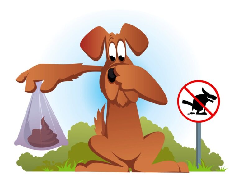 cartoon+dog-82001bb6