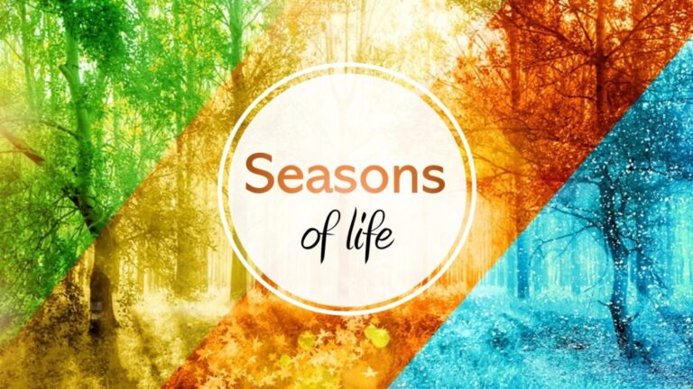 Seasons-of-life-1140x641