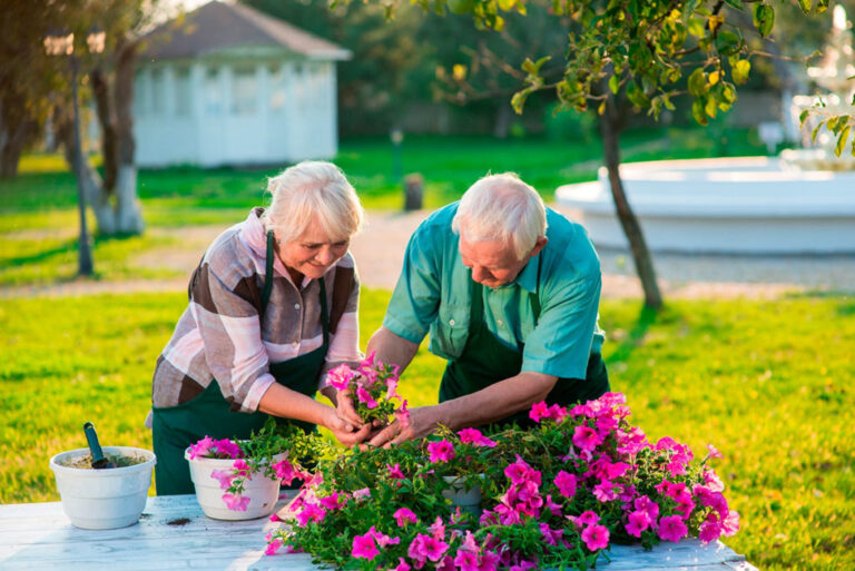 No Kneeling Required: Why Seniors Love Upside-Down Gardening
