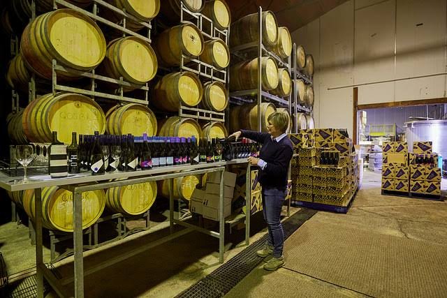 Wine Cellar Doors