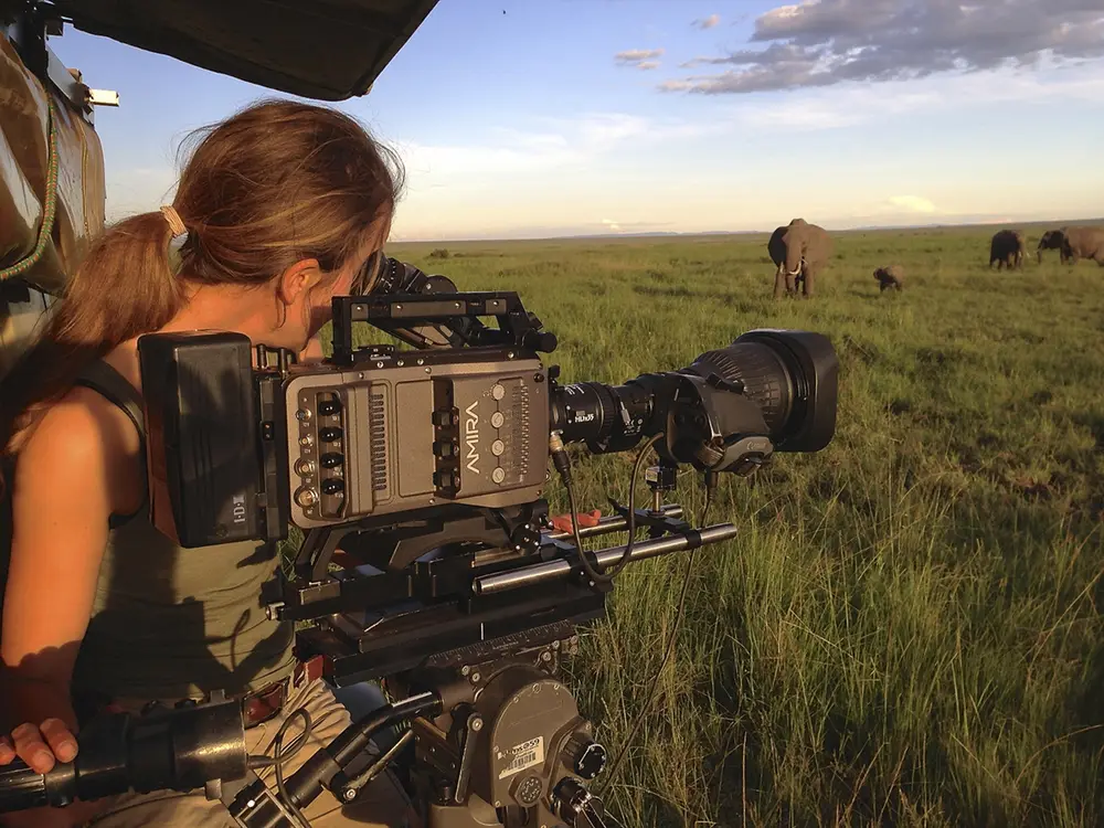 A camera operator filming elephants on location for a wildlife documentary